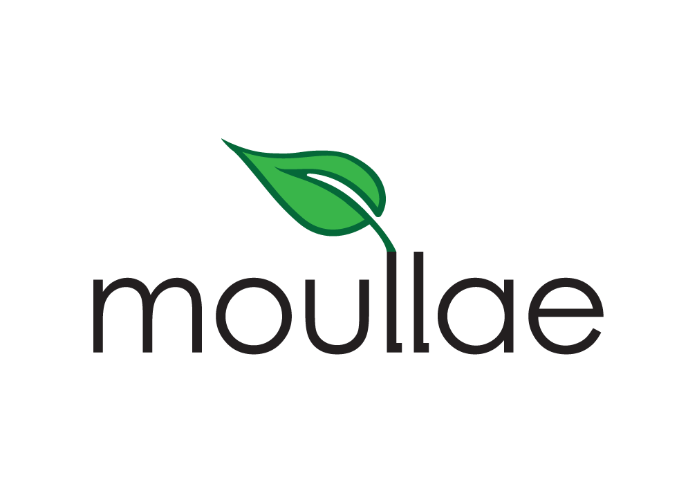 services | moullae