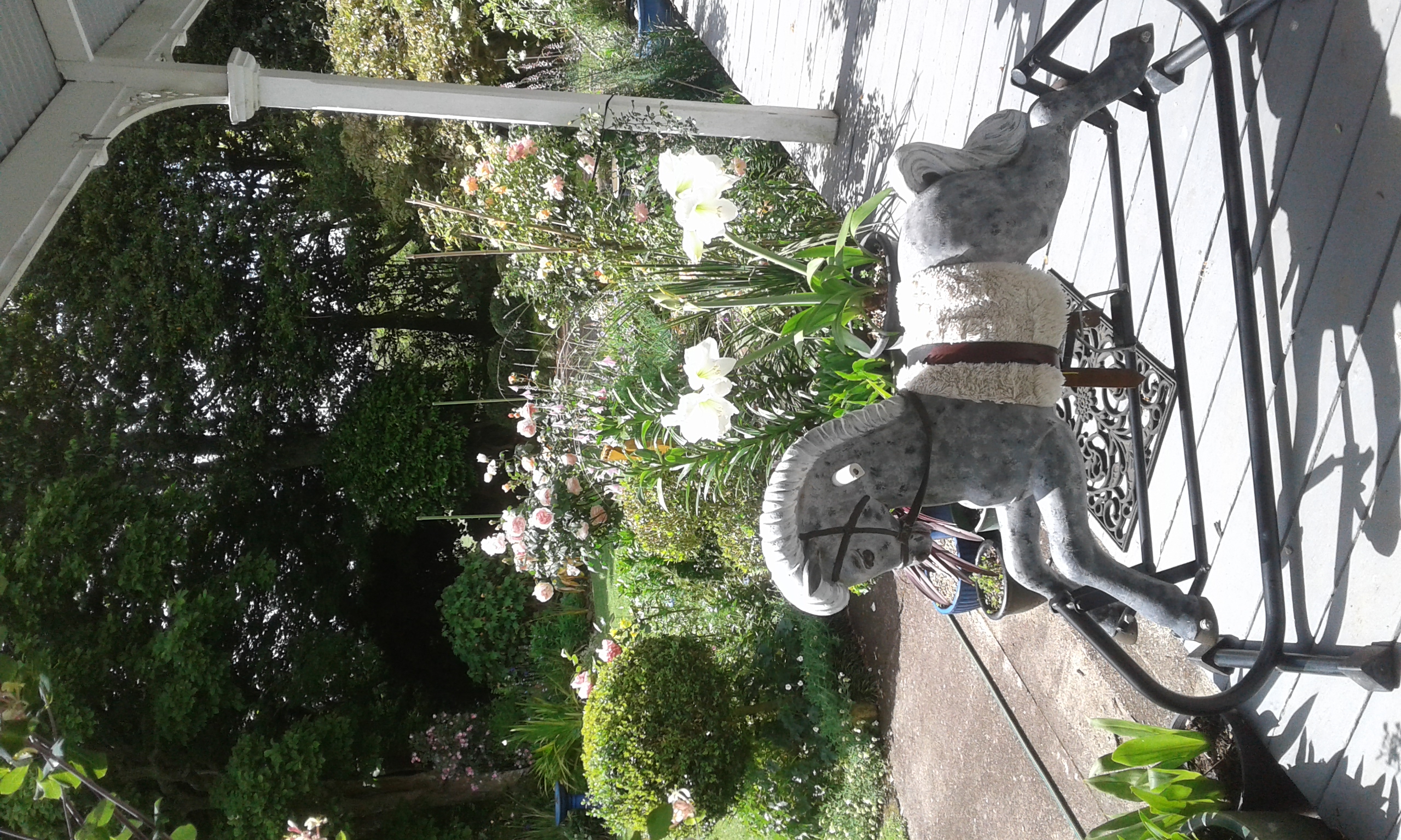 The family's old rocking horse overlooking the garden.