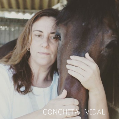 Conchita Vidal - horse