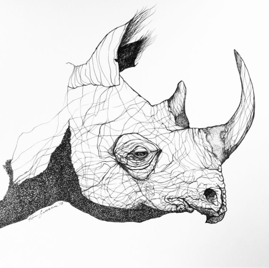 Ink drawn Rhinoceros 