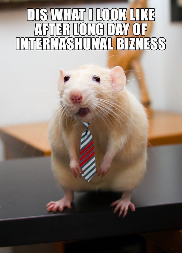 Marty Mouse doing Internashunal Bizness
