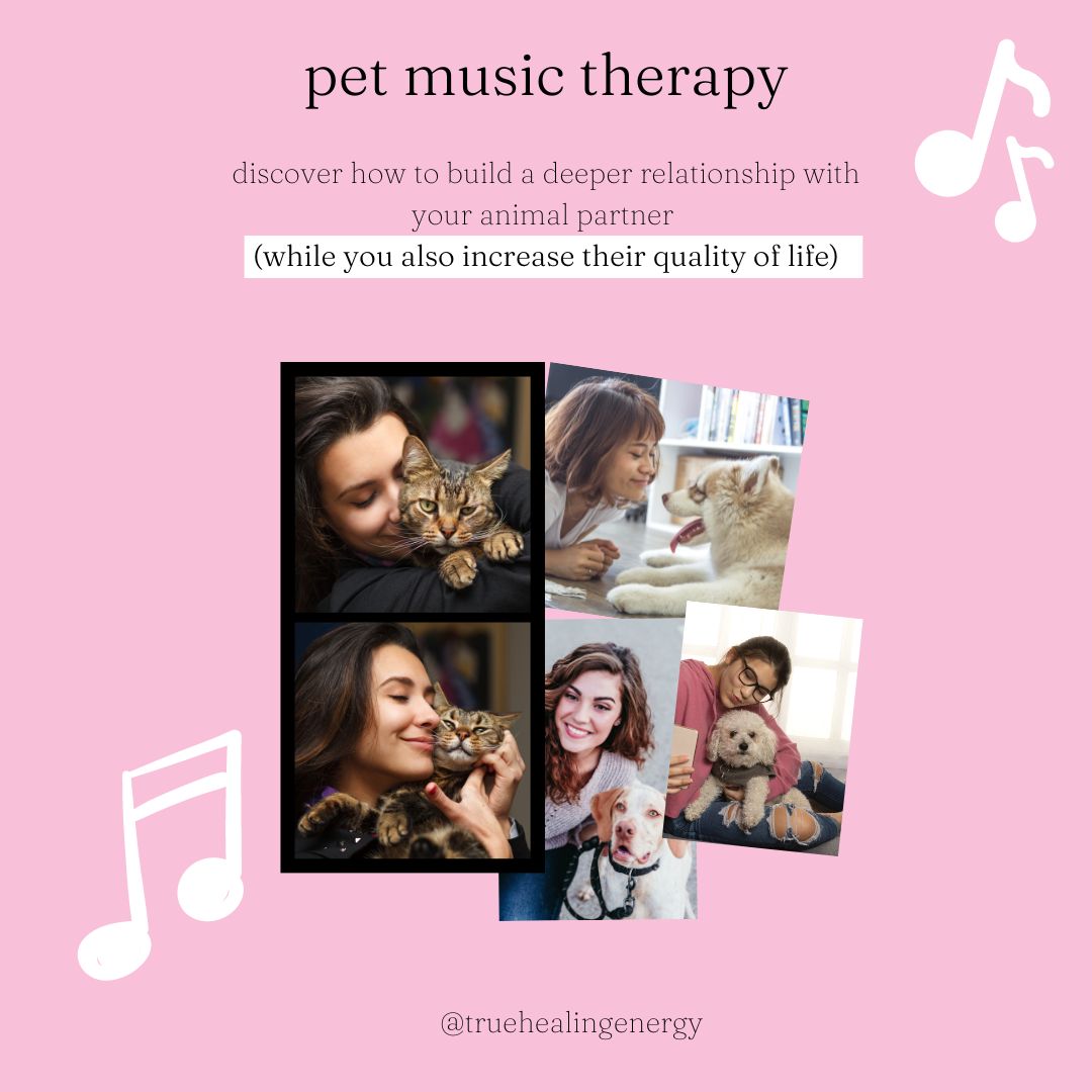 pet music therapy | true healing energy