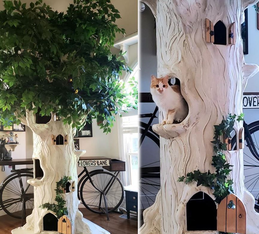 Extra Large Cat Trees