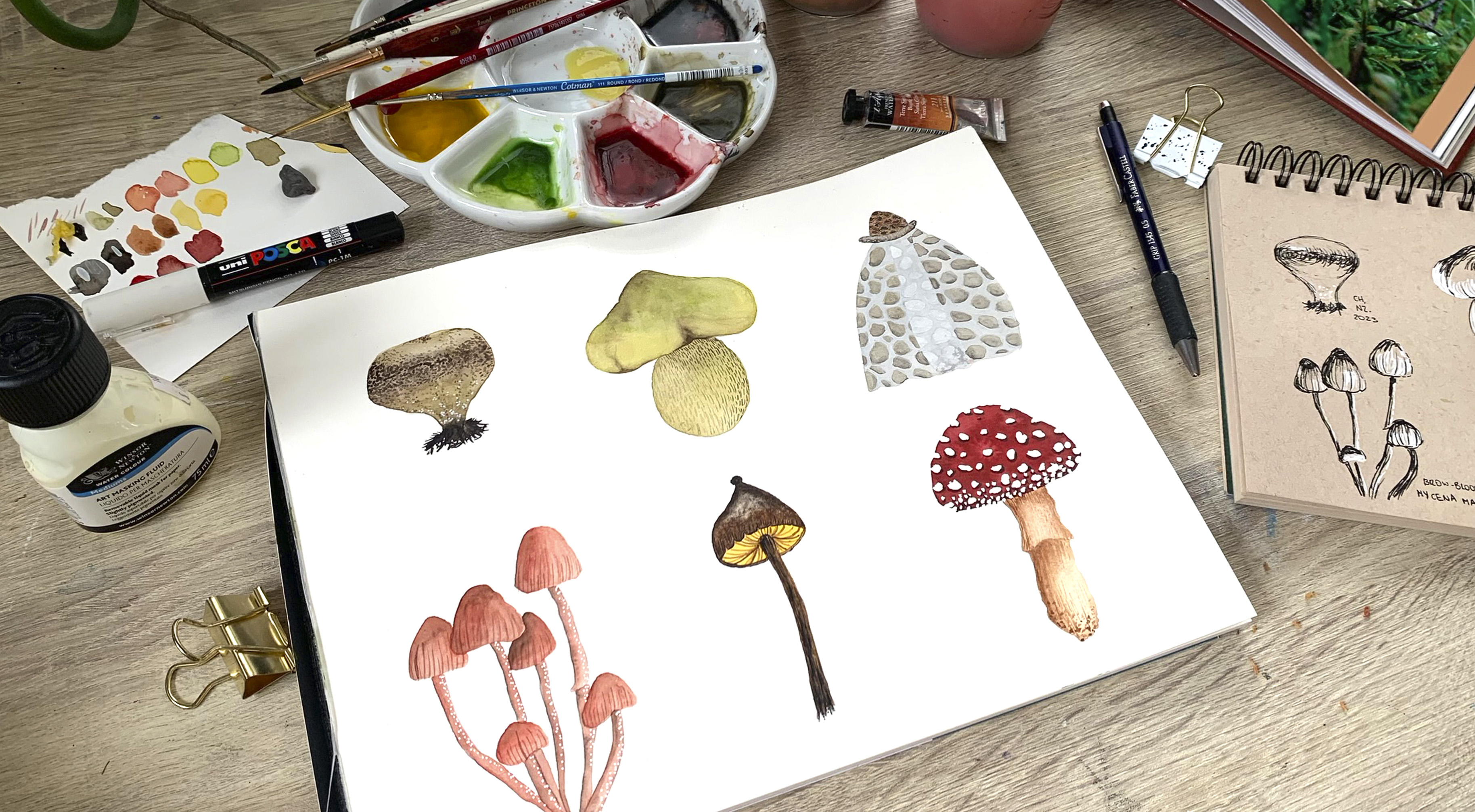 Mushrooms Skillshare Class