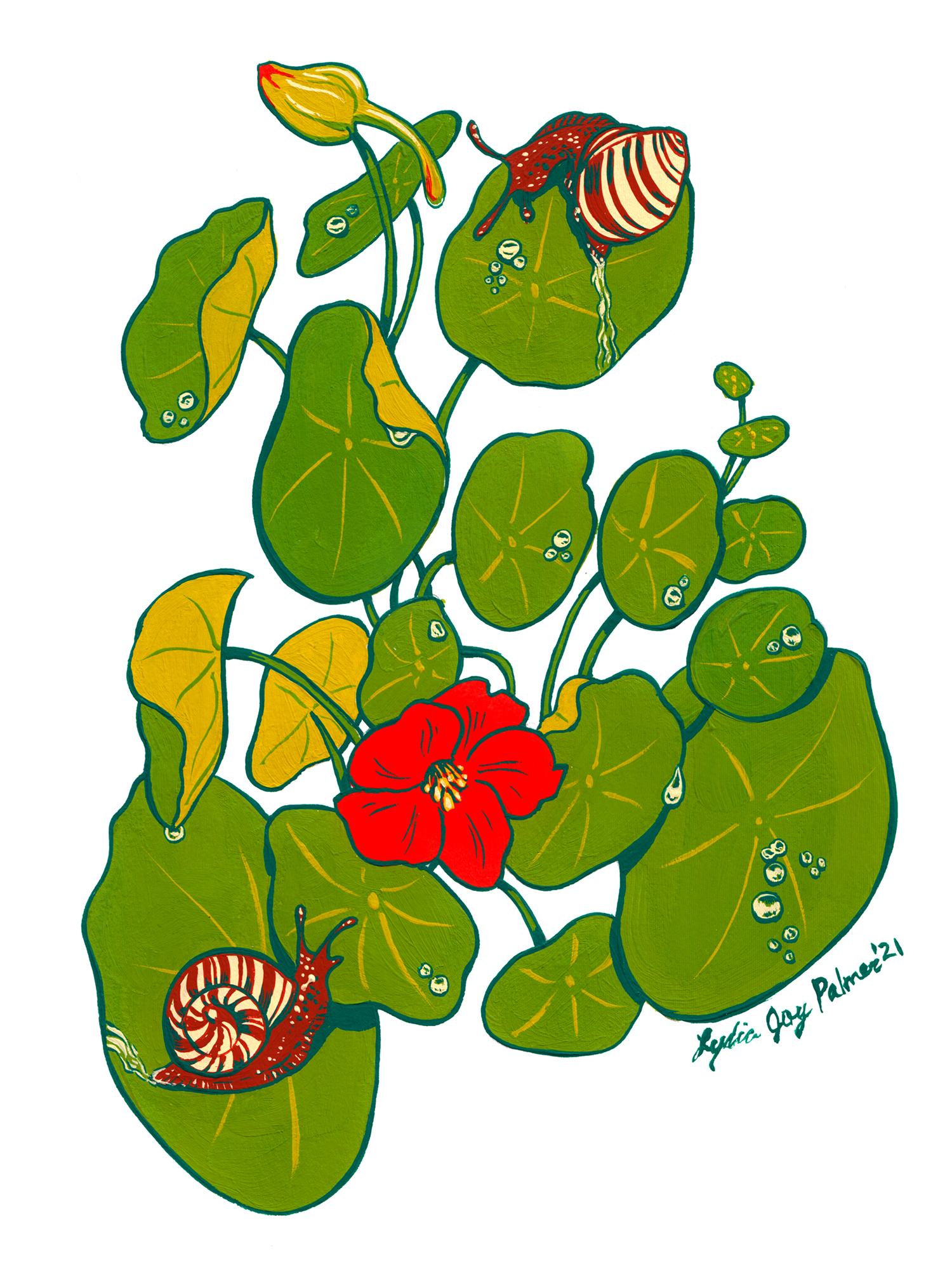 Gouache Snails Illustration
