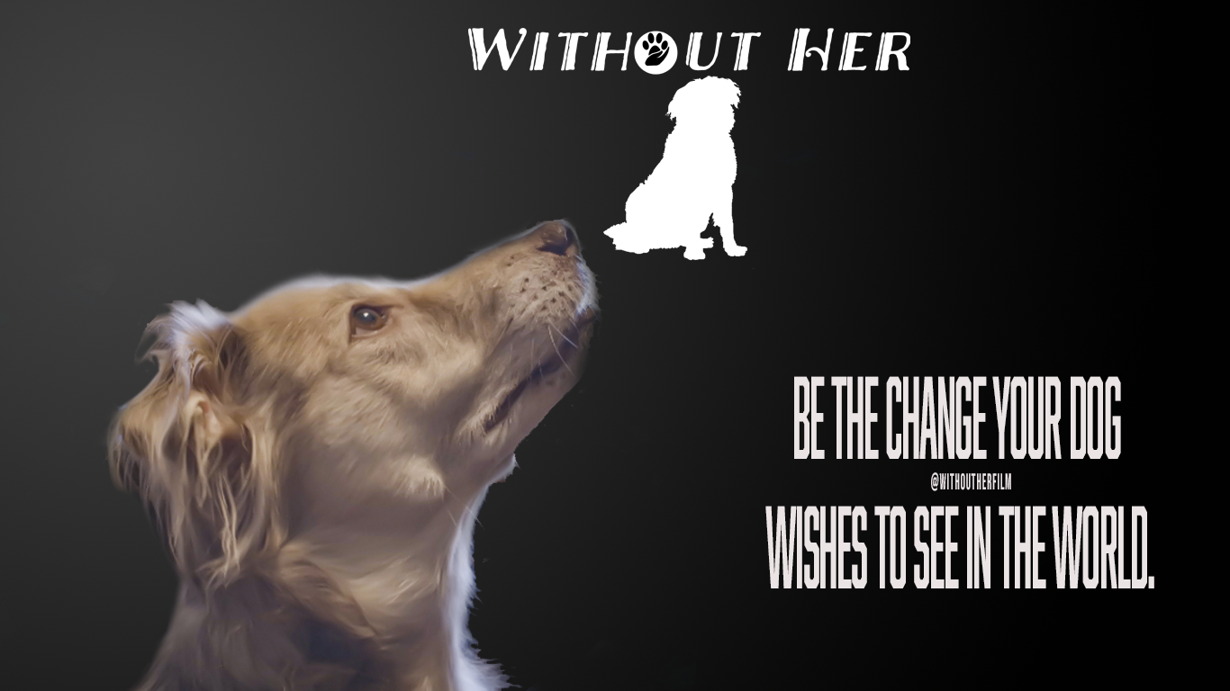 Be the change your dog wishes to see in the world
