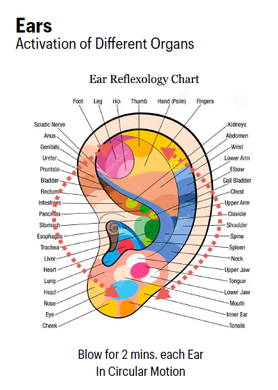 Reflexology points, Meridians and chakras! | Kate's iTeracare Wands