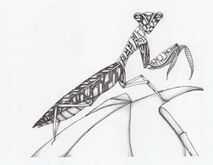 Mech Mantis - Ink