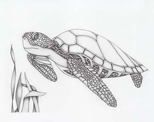 Mech Sea Turtle - Ink