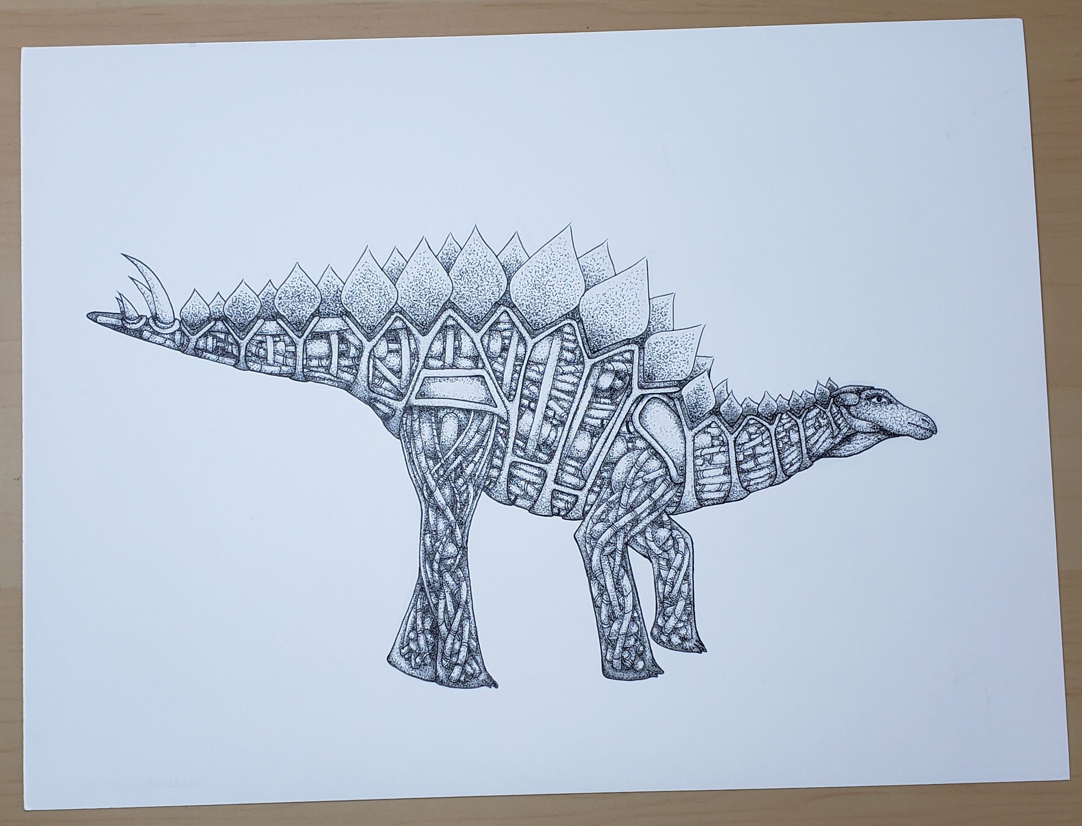 Stegosaurus - Black and White / Ink