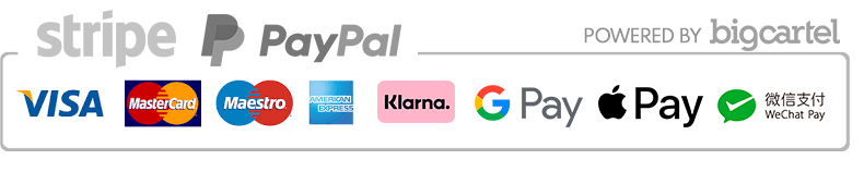 Payment with Stripe / PayPal -Mastercard, Visa, AmEx