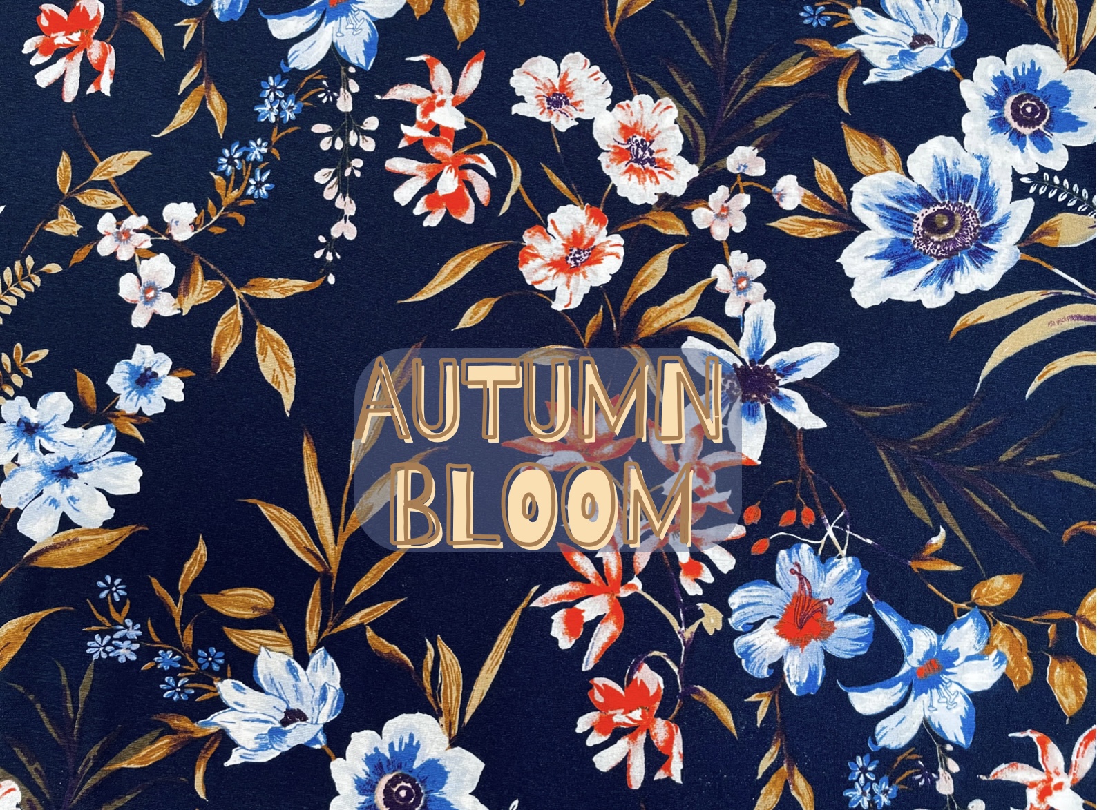 Jilly’s fashion autumn bloom