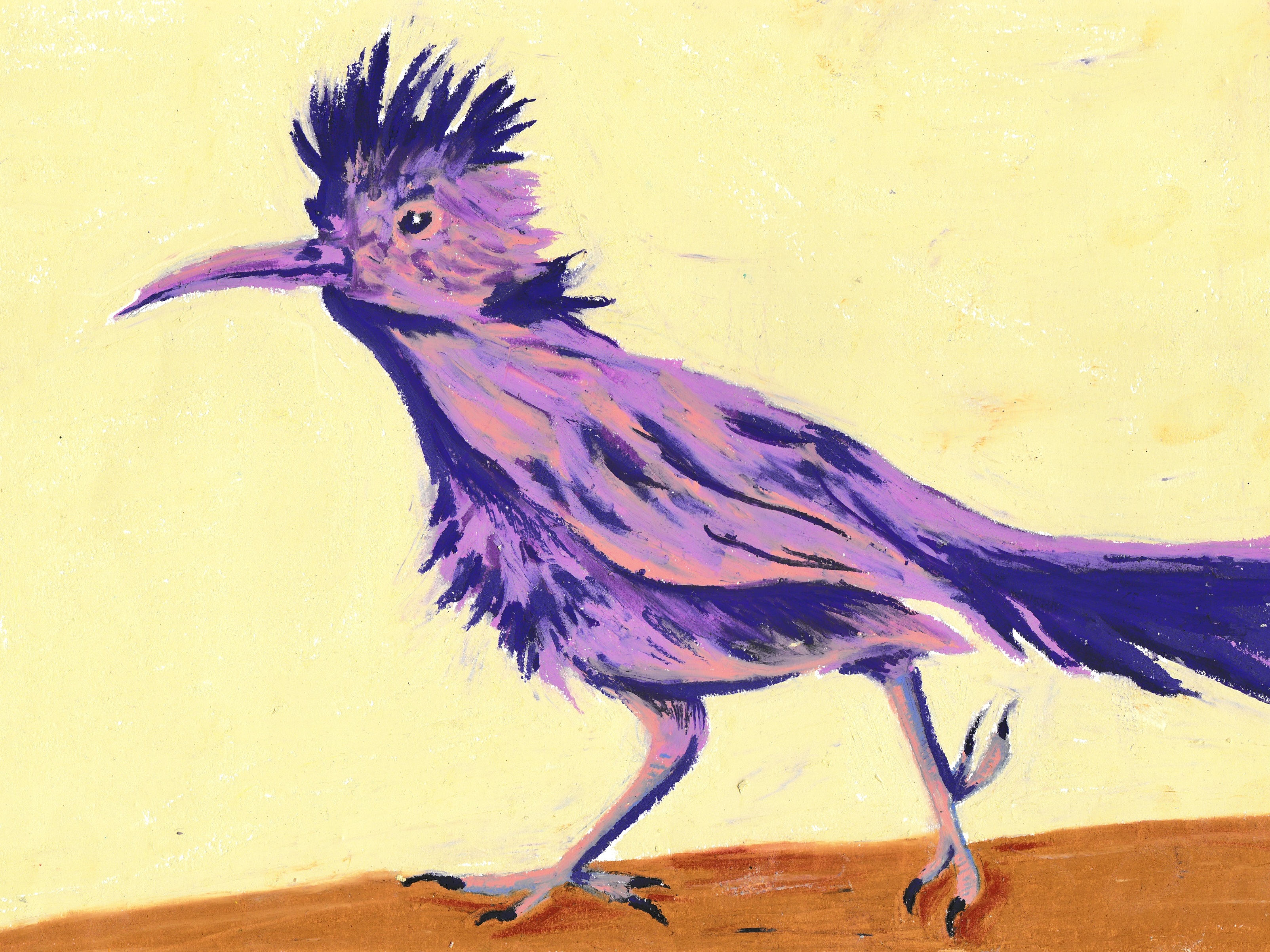 Roadrunner, Oil Pastel