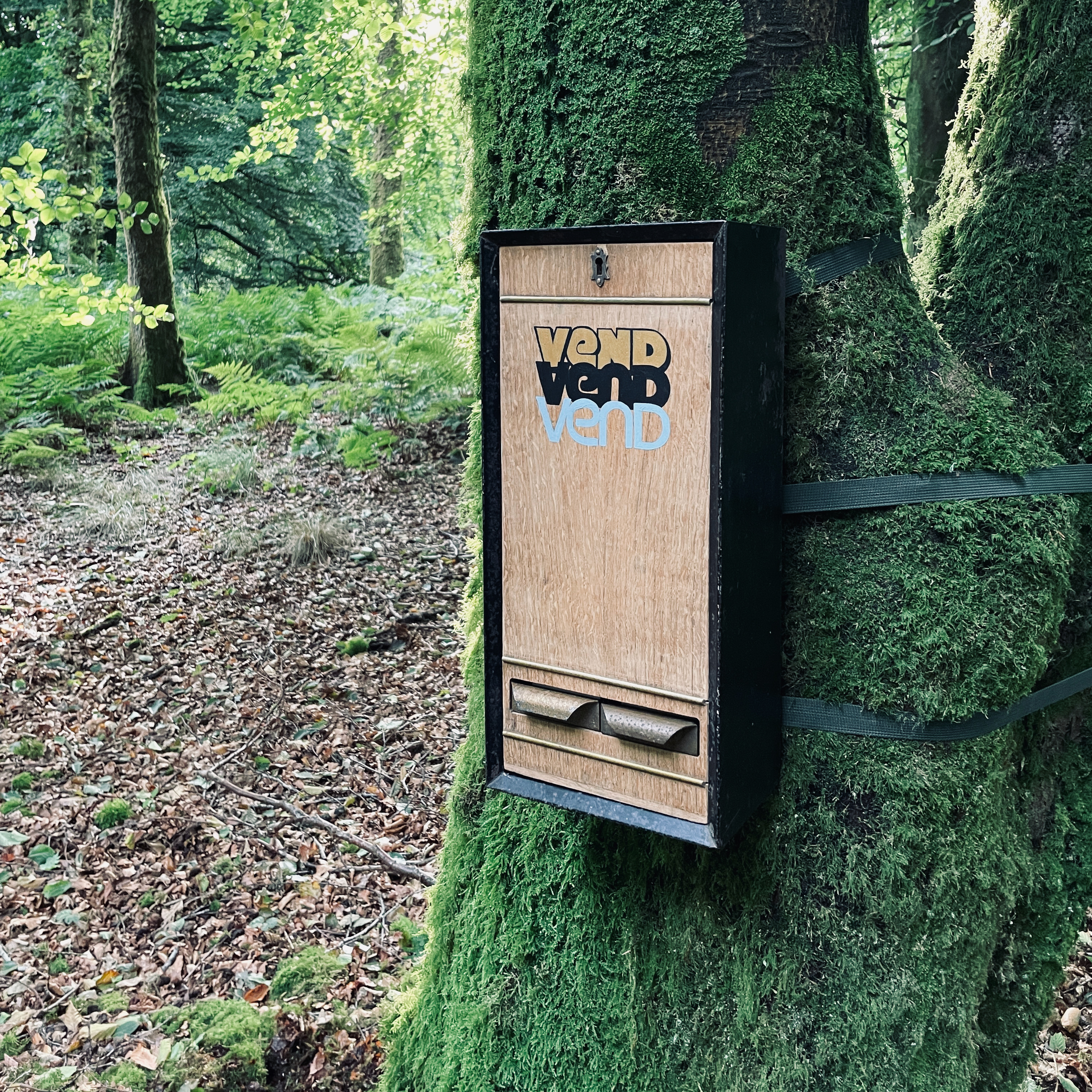 An old wooden cigarette vending machine attached to a mossy tree in a forest. It has the word 'vend' signwritten on the front three times. It has two small drawers in the bottom to dispense goods.