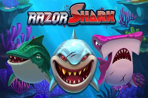 Все о слоте Razor Shark в онлайн-казино Эльдорадо