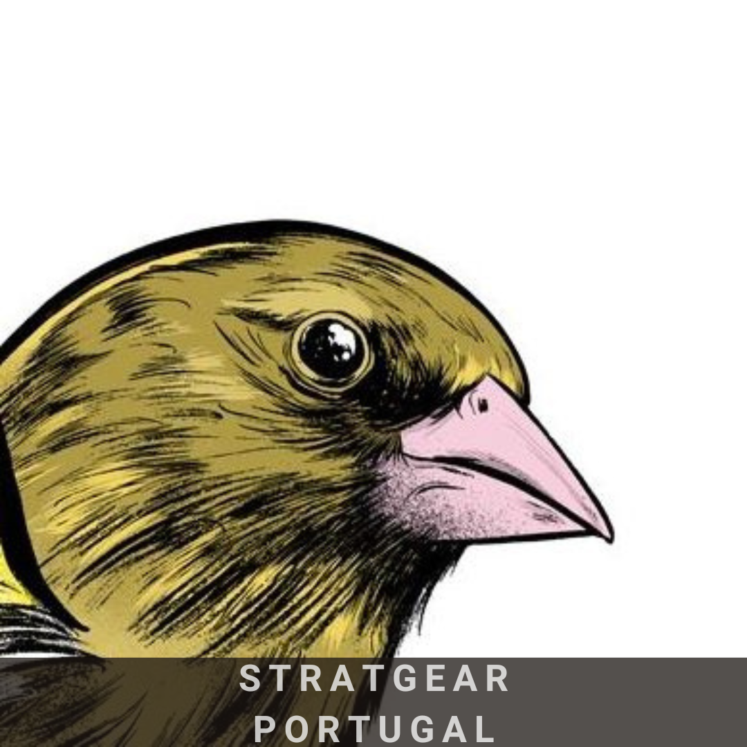 Stratgear.com
