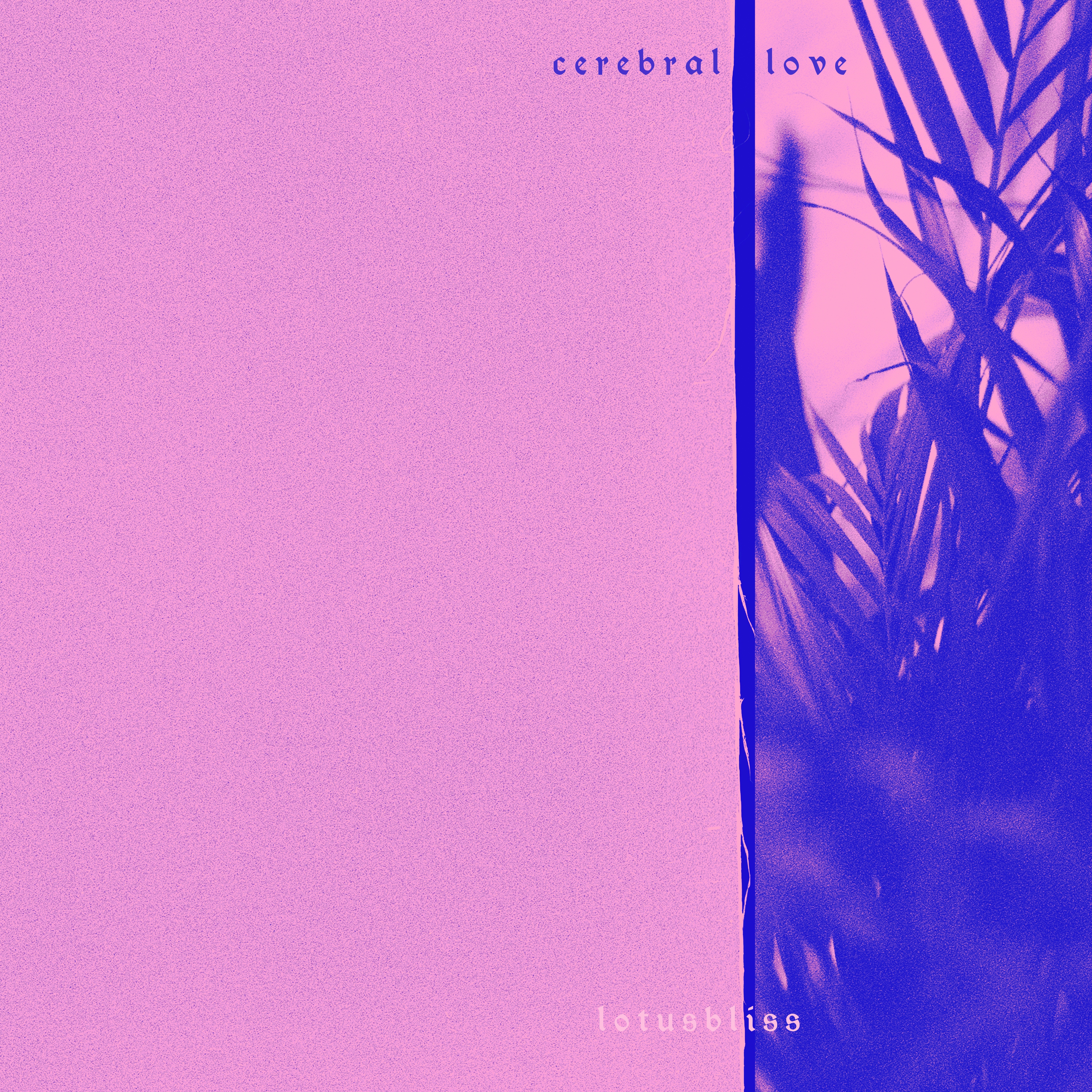 Cerebral Love Artwork