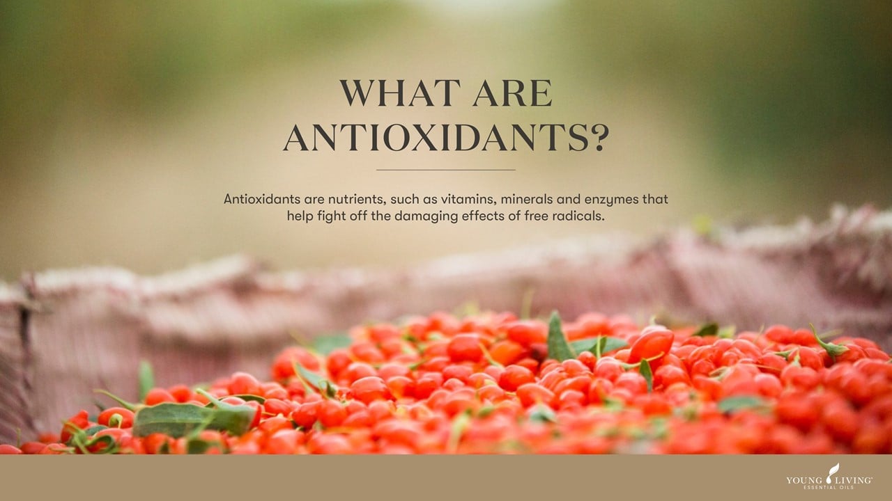 Antioxidants Boost NingXia Red