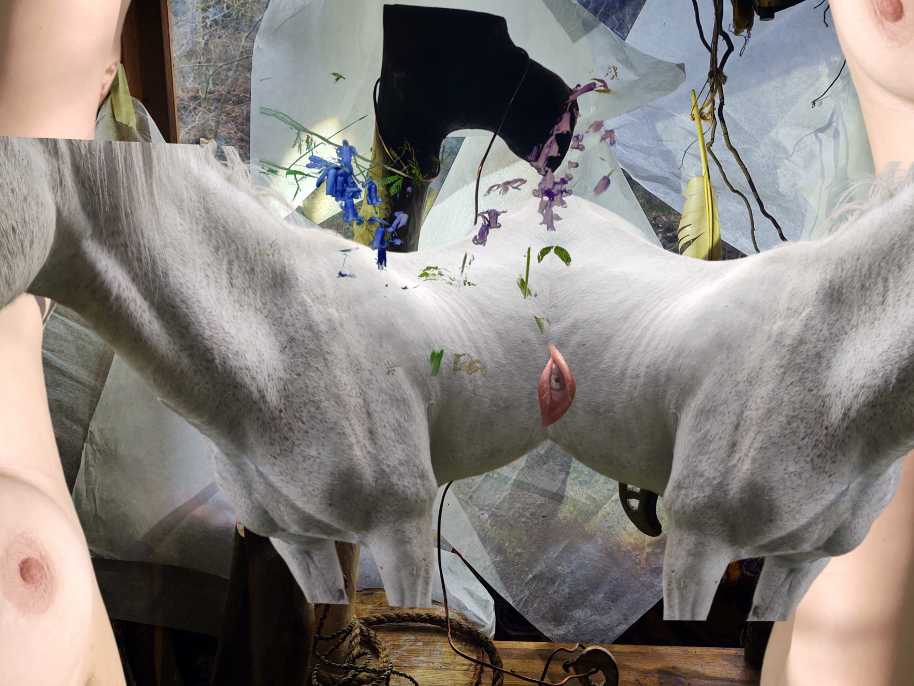 Collage of a white horse, the artist nude and woodland flowers