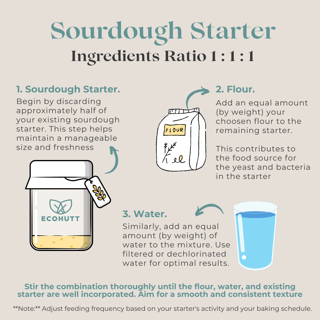 Sourdough Starter Help