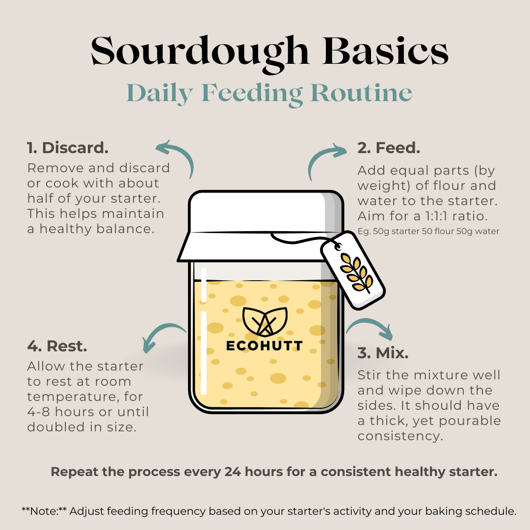 Daily Sourdough Feeding