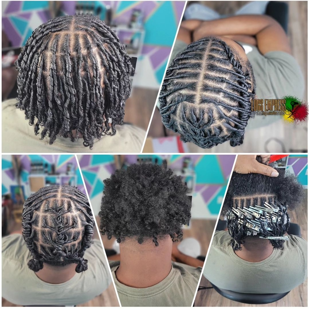 Starter Locs 