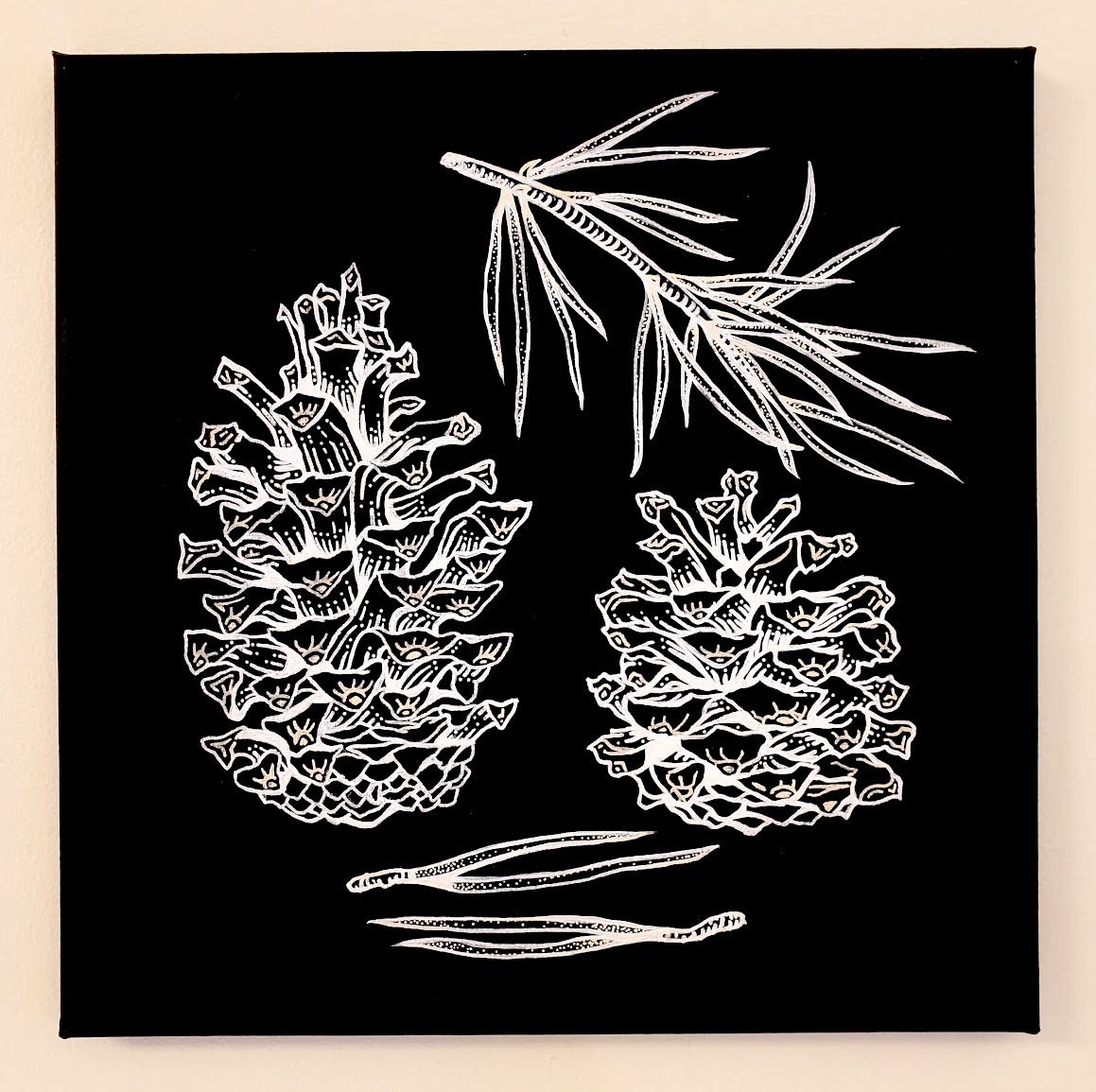 "Pinus contorta", 12" x 12", Acrylic on canvas - 2020