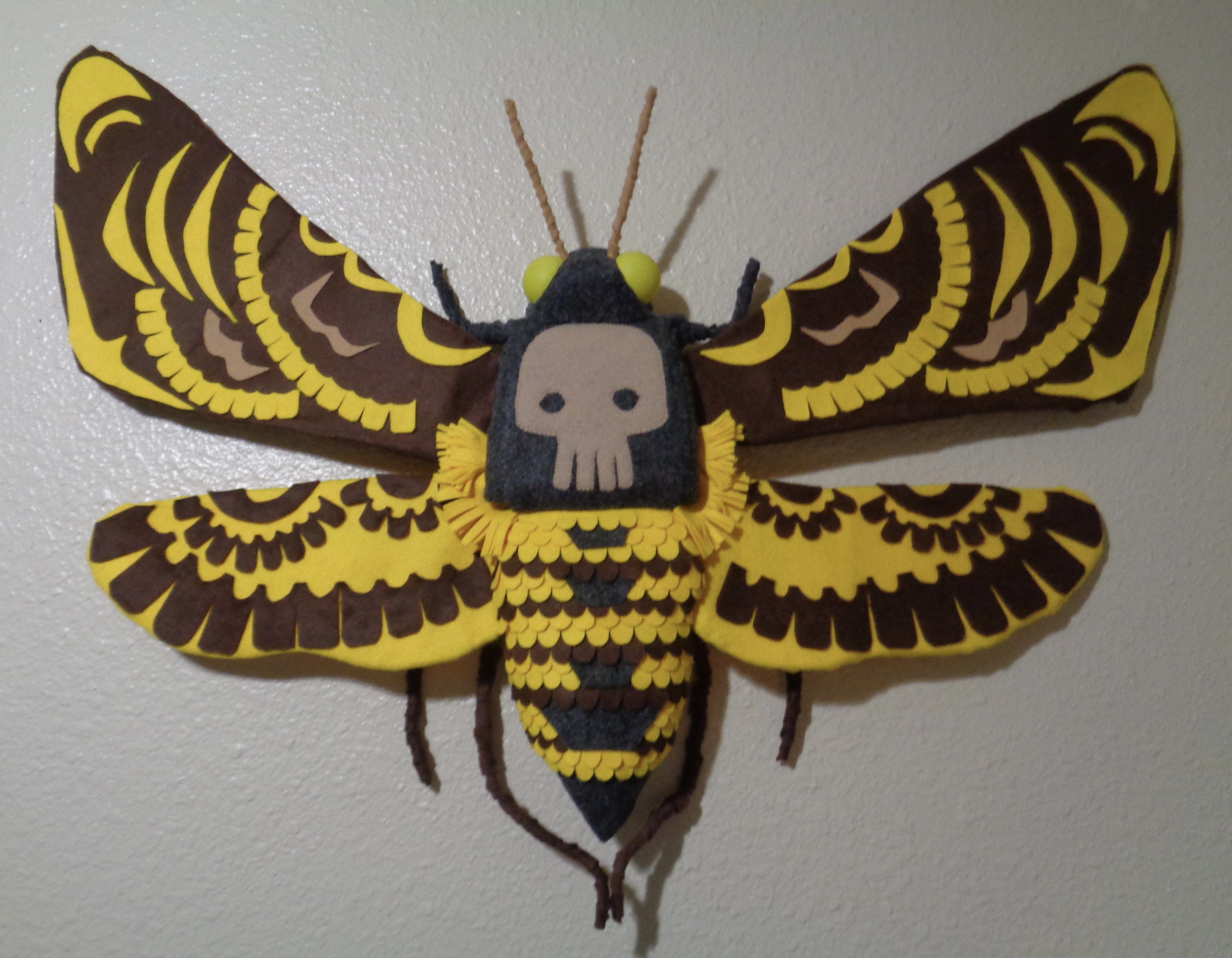 Death’s Head Moth