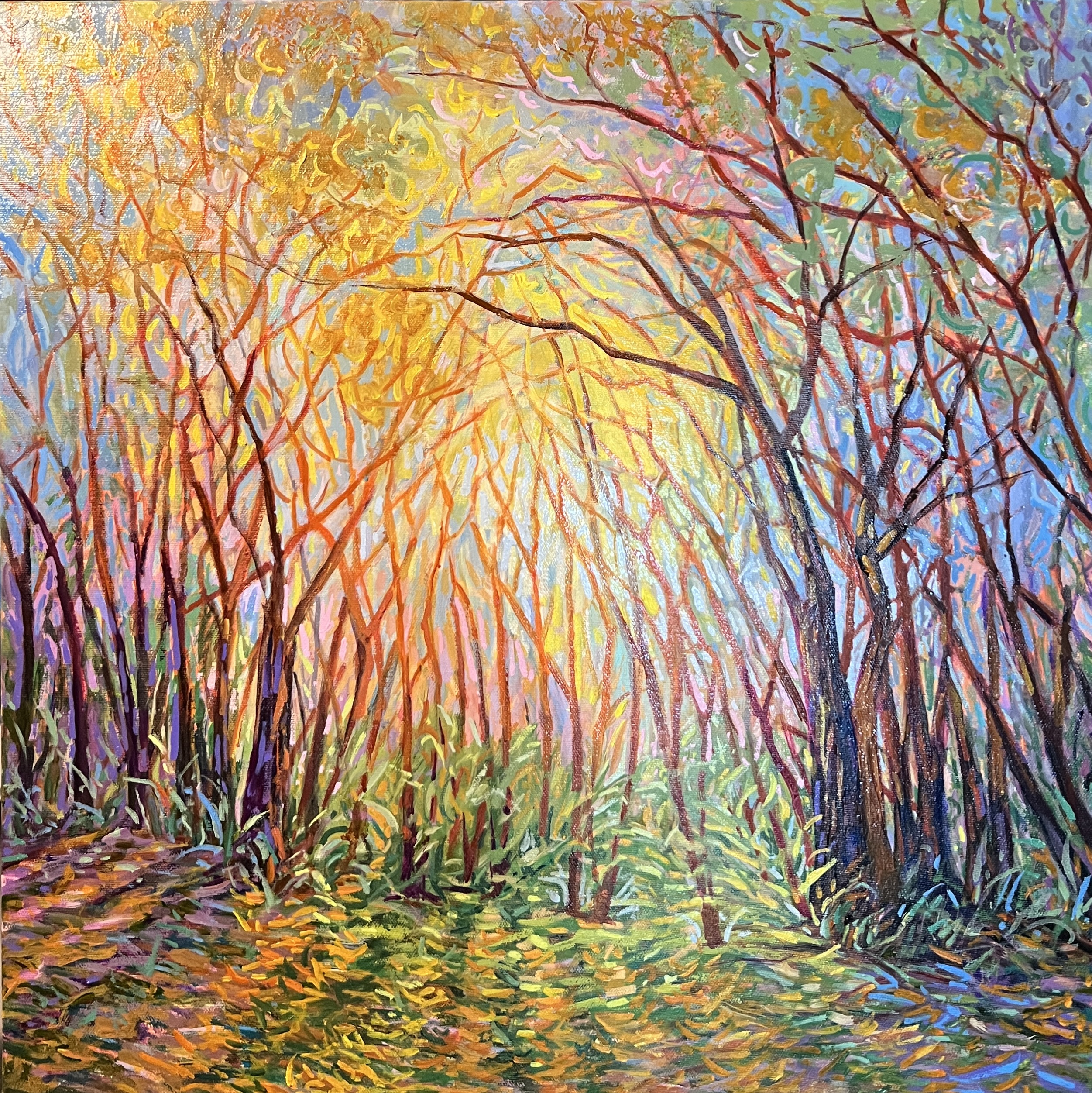 Streaming Sunlight in Woodlands March 2024