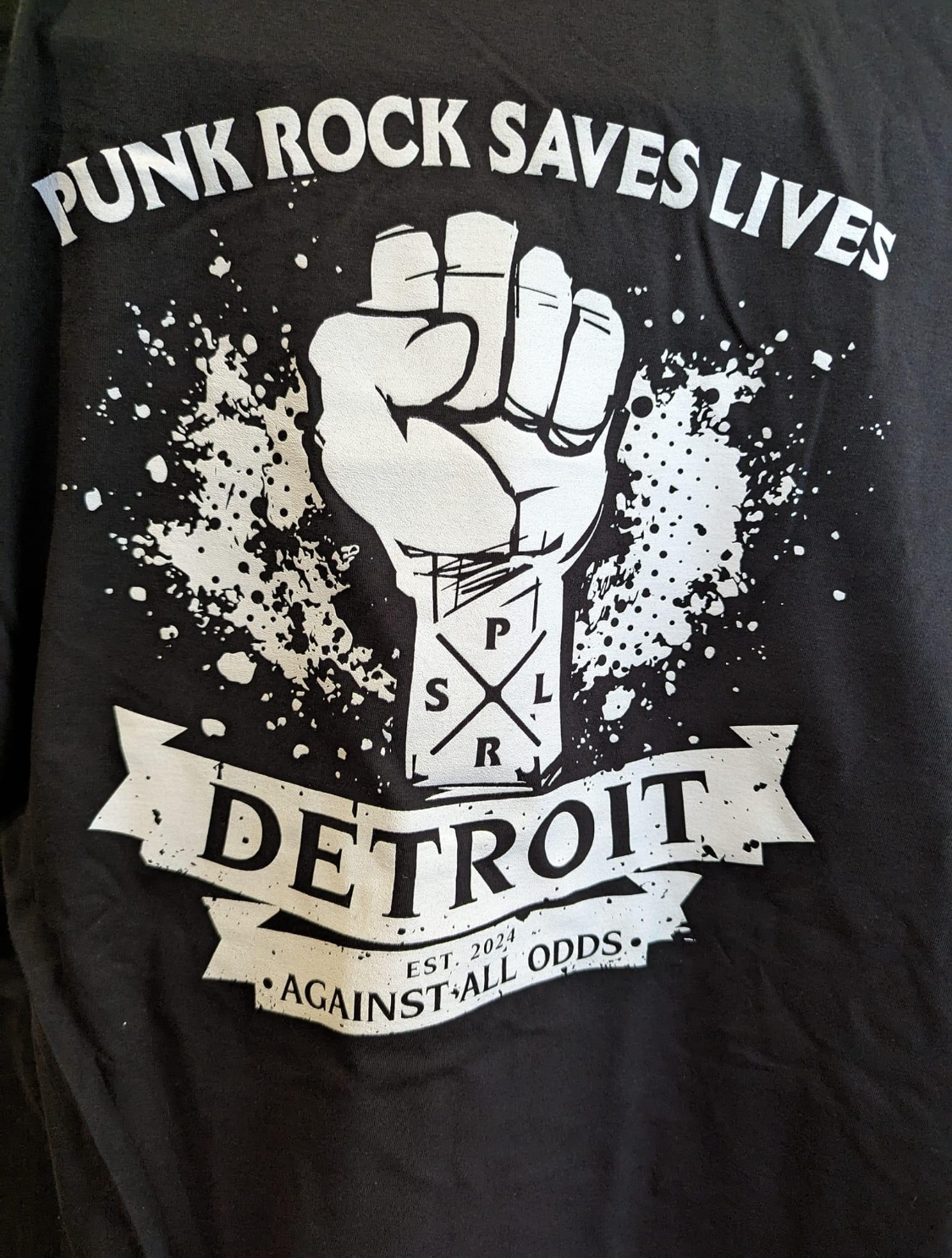 Punk Rock Saves, Battlecreek, Michigan
