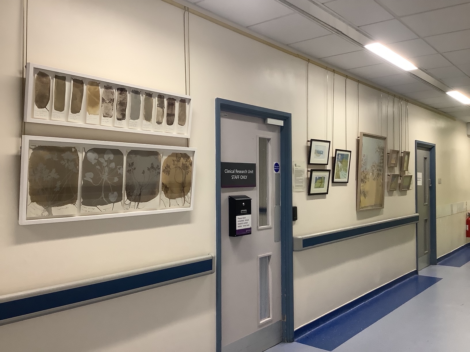 Yeovil Hospital Exhibition