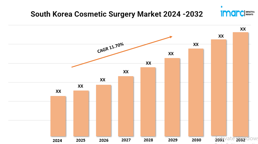 South Korea Cosmetic Surgery