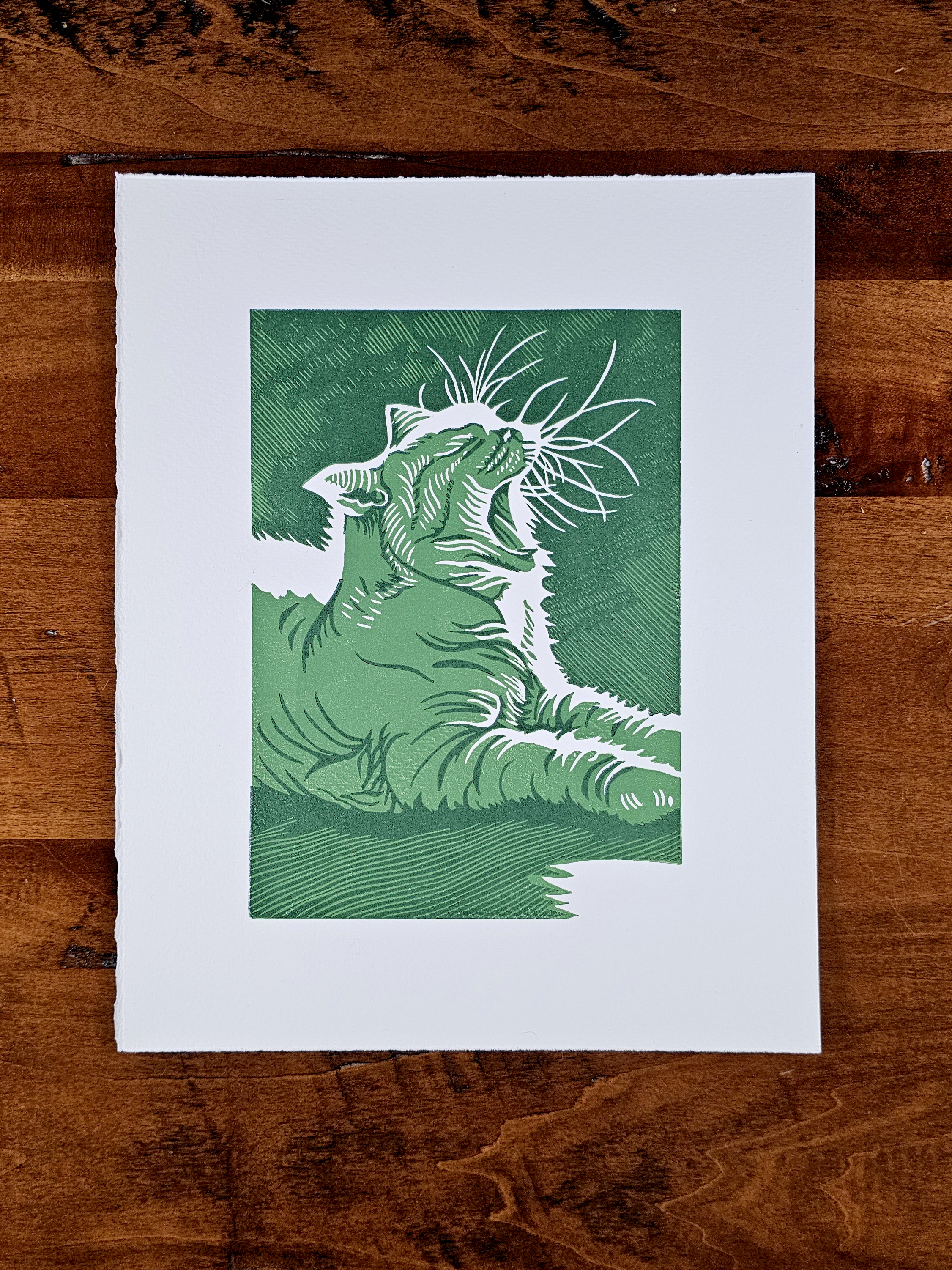 Linoleum block print of a cat in a sunspot in green