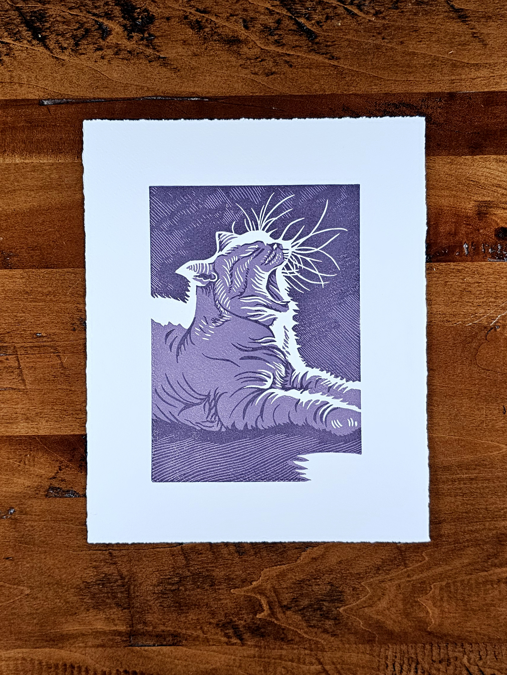 Linoleum block print of a cat in a sunspot in purple