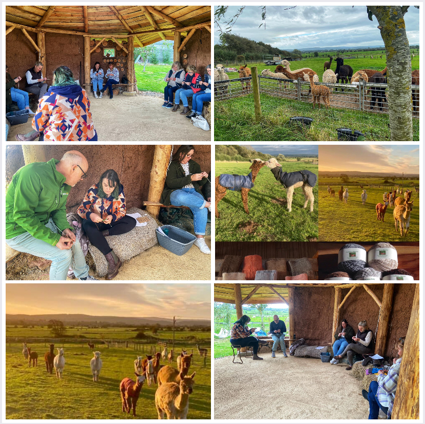 Knitting workshop I held at Cadbury Alpacas