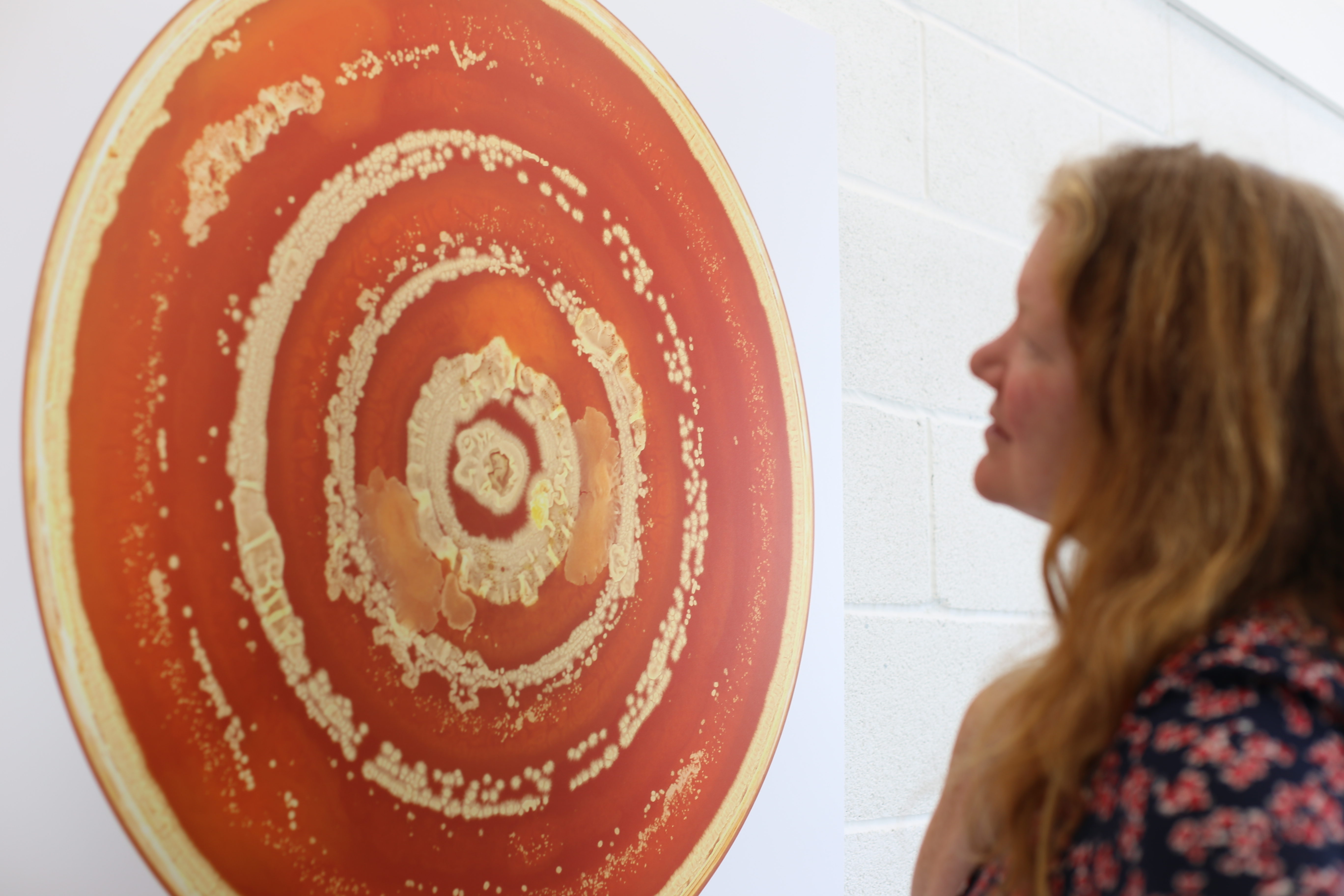 A woman inspects an orange print of Bio Art