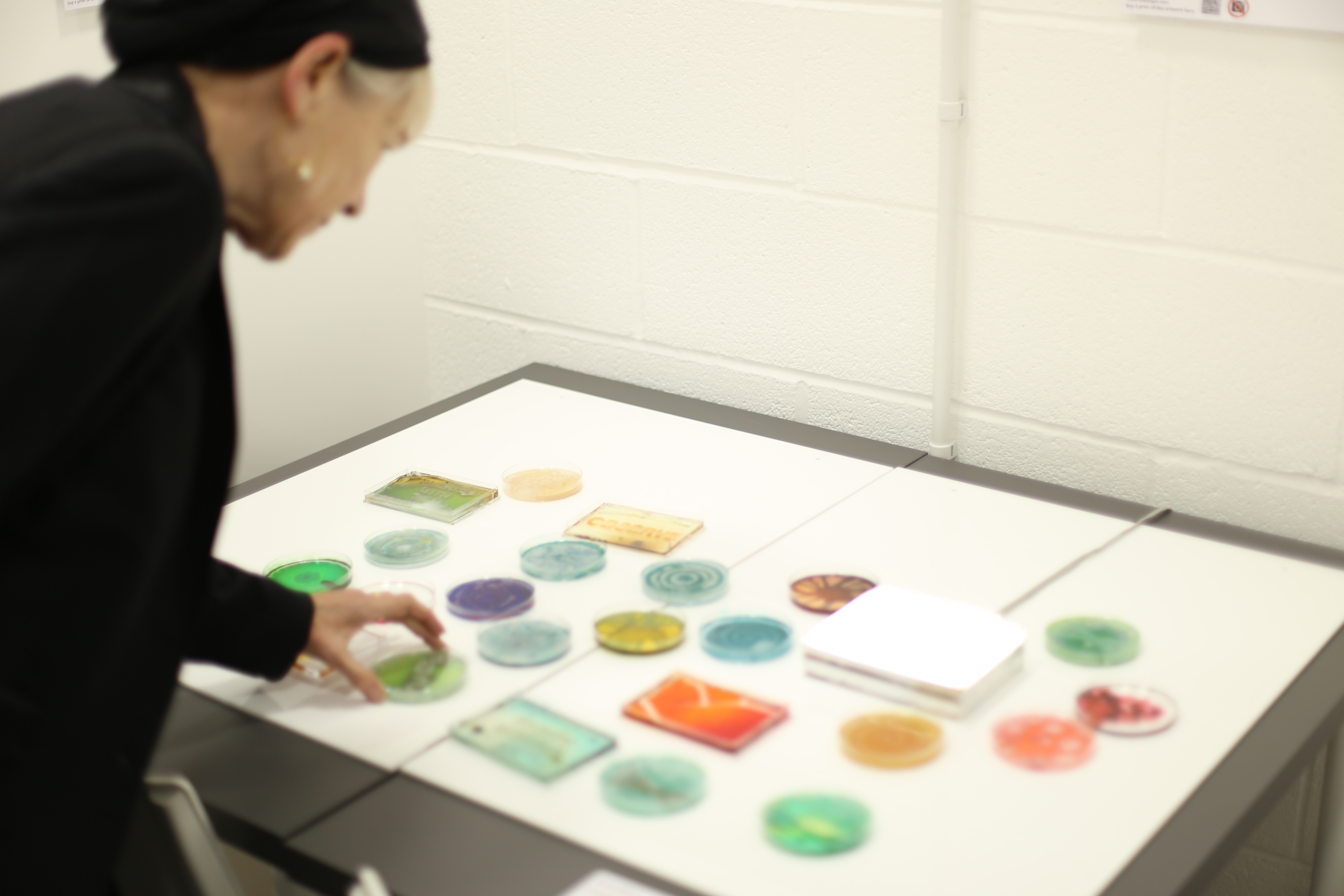 Toni Davey RWA looks at  Petri dish art