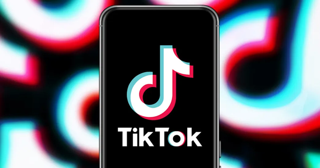 TikTok Video Downloader