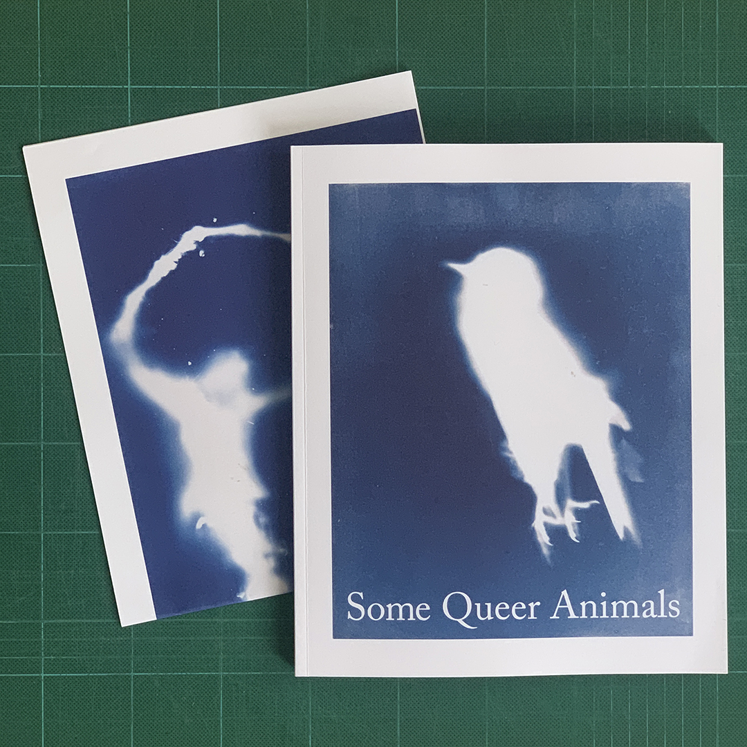 Some Queer Animals, Roelof Bakker