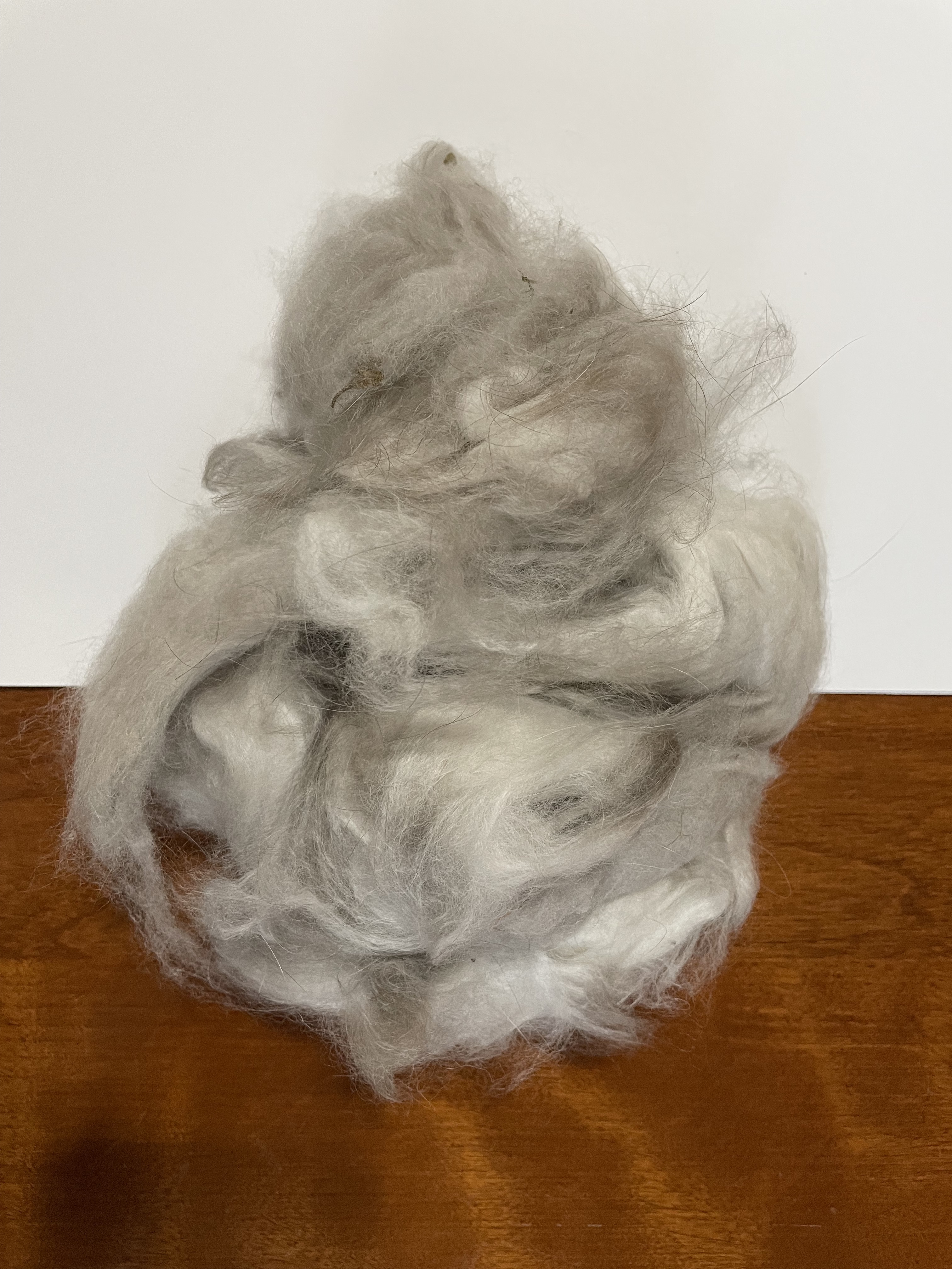 Chocolate English angora fiber