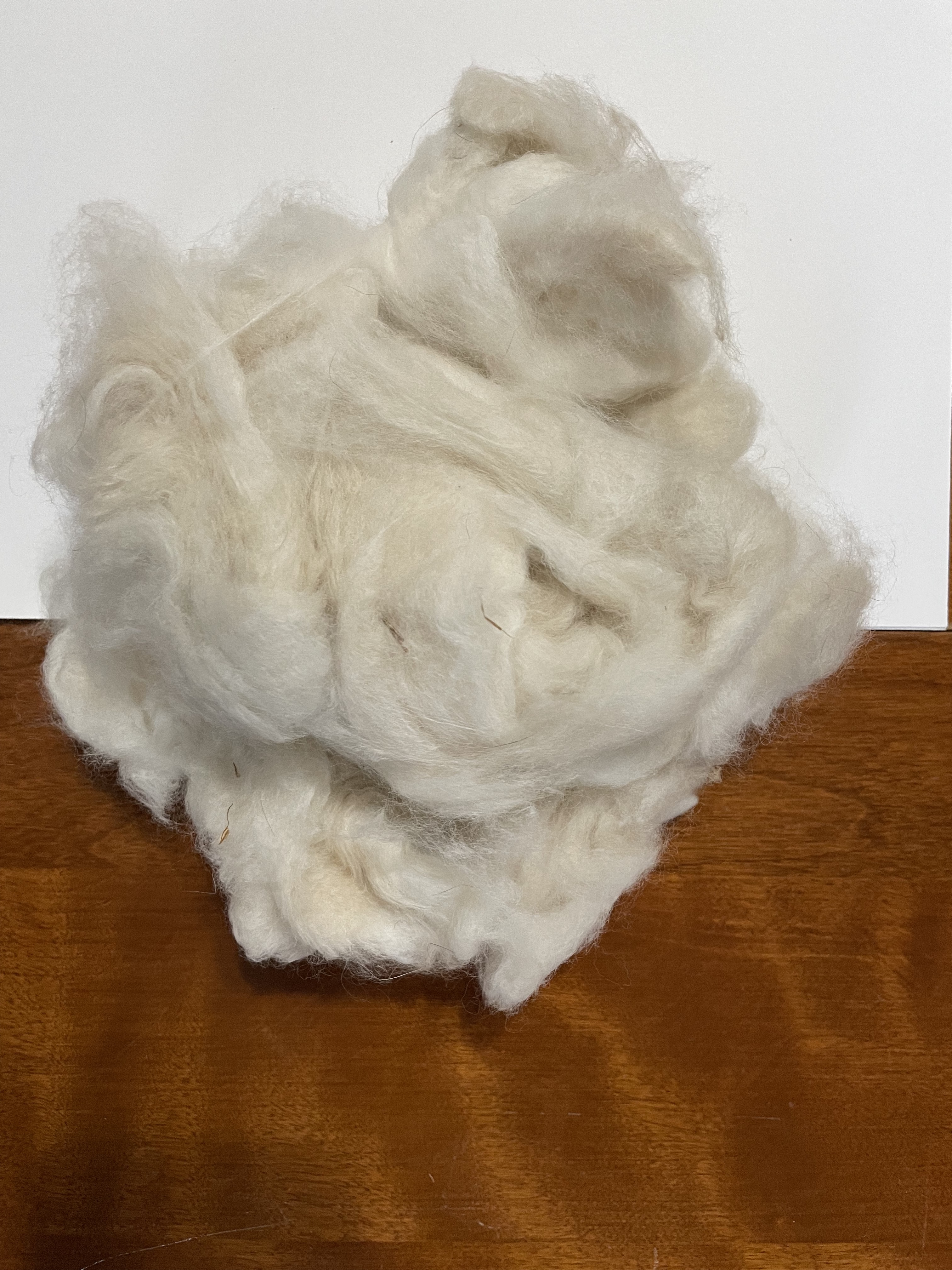 Blue harlequin English angora fiber