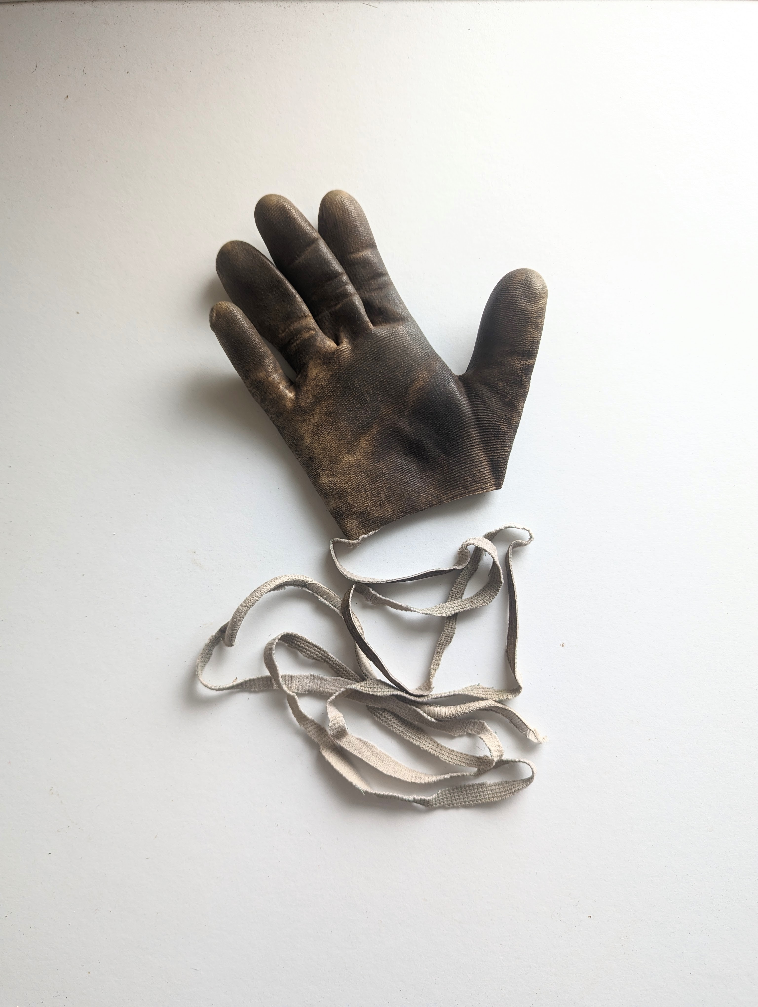 gardening glove