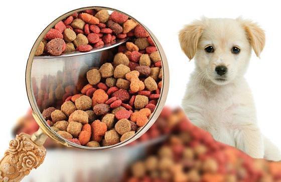 North America Dog Food Market