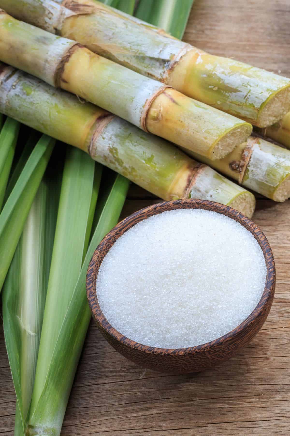 Brazil Cane Sugar Market