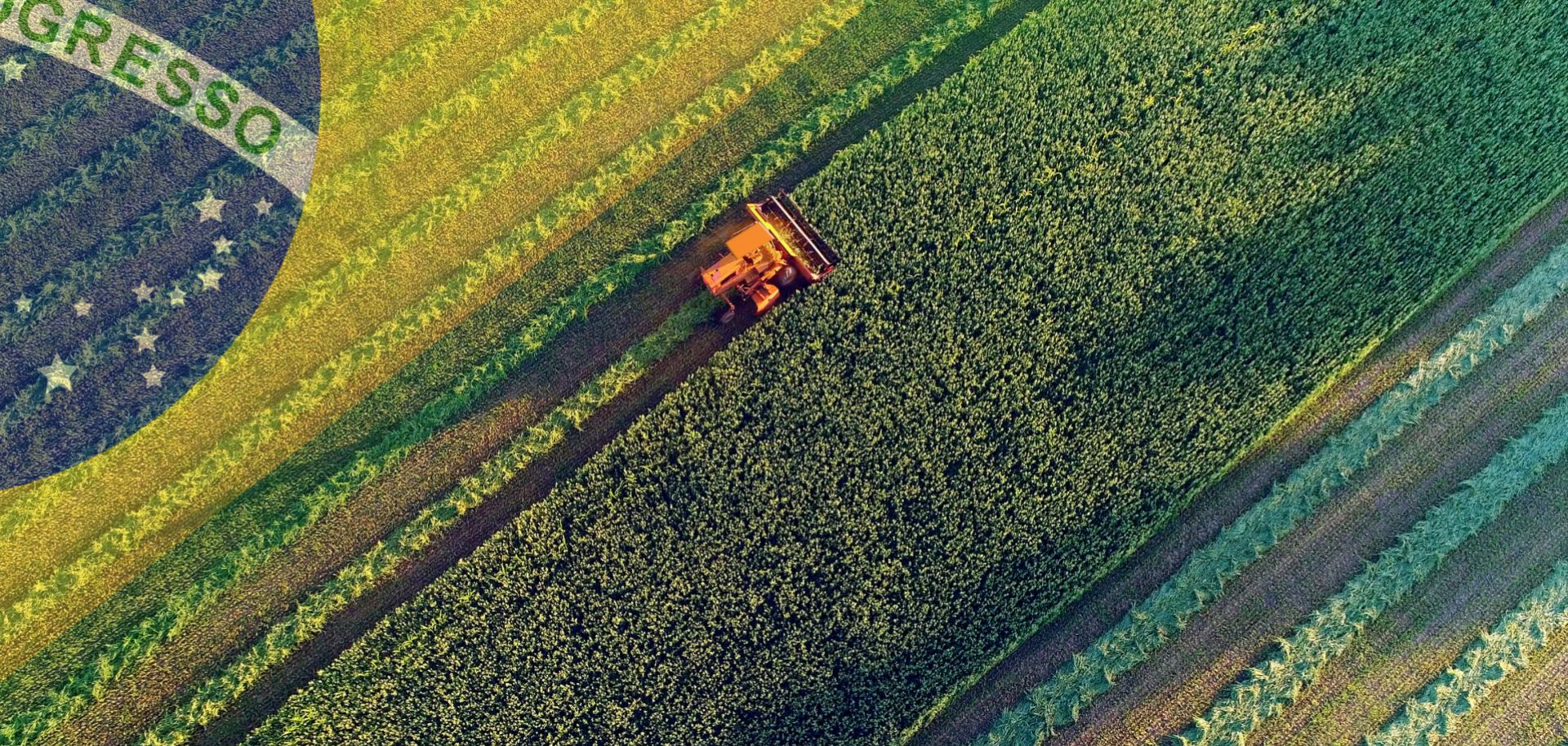 Brazil Agriculture Market