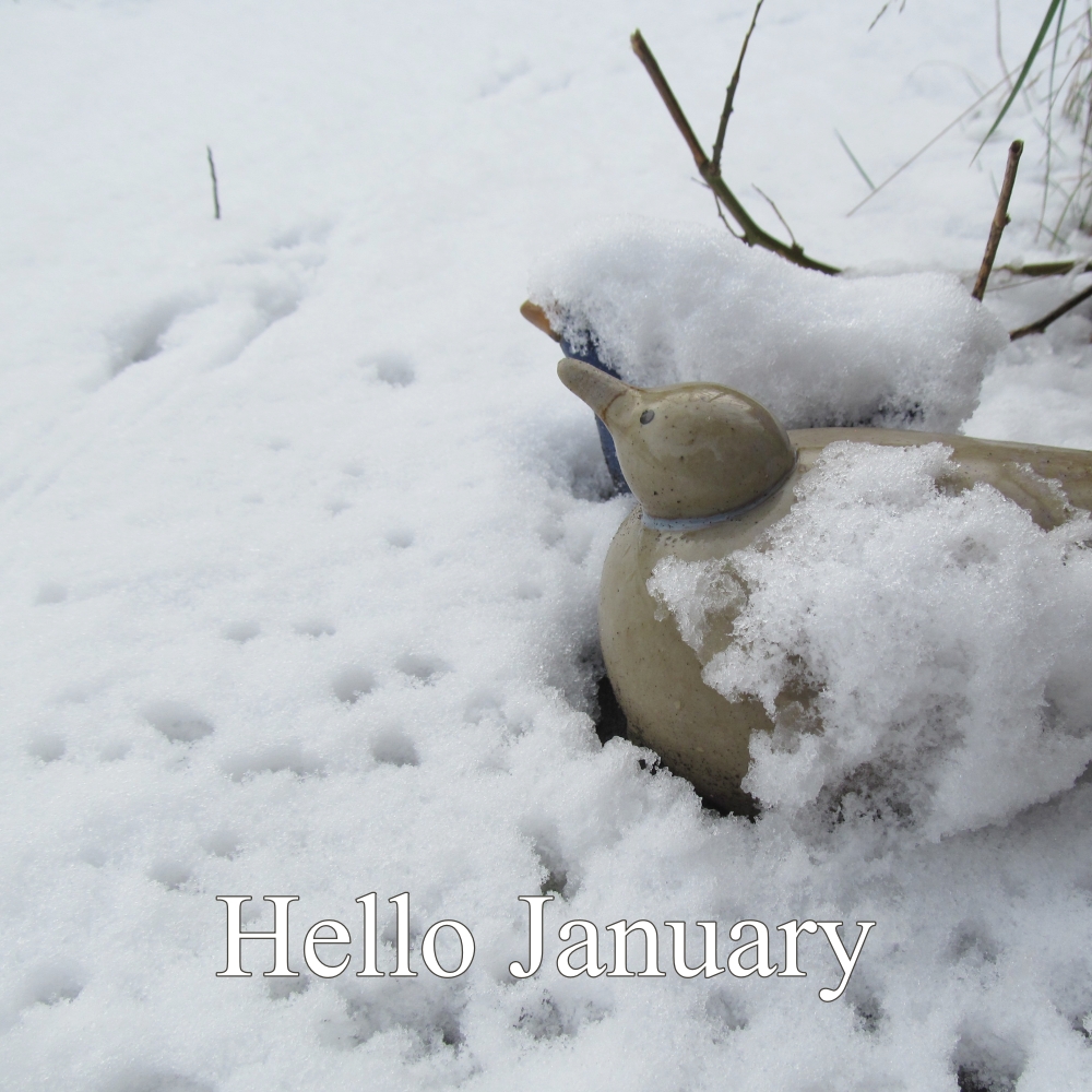 Birdies in the Snow