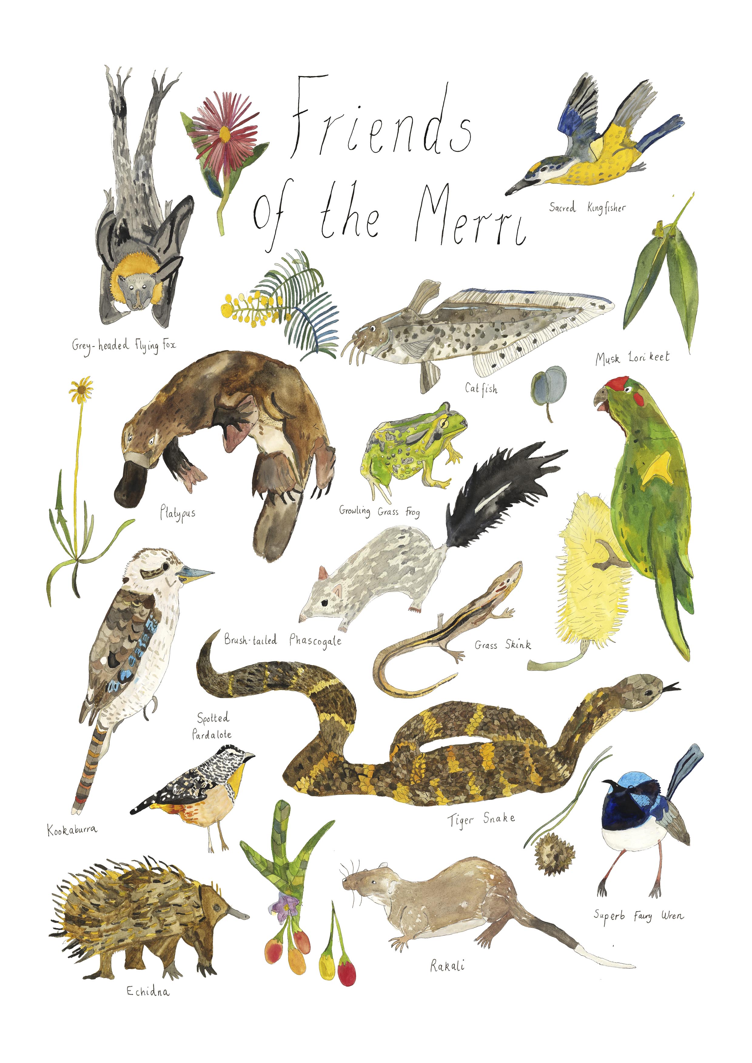 Friends Of The Merri Creek 