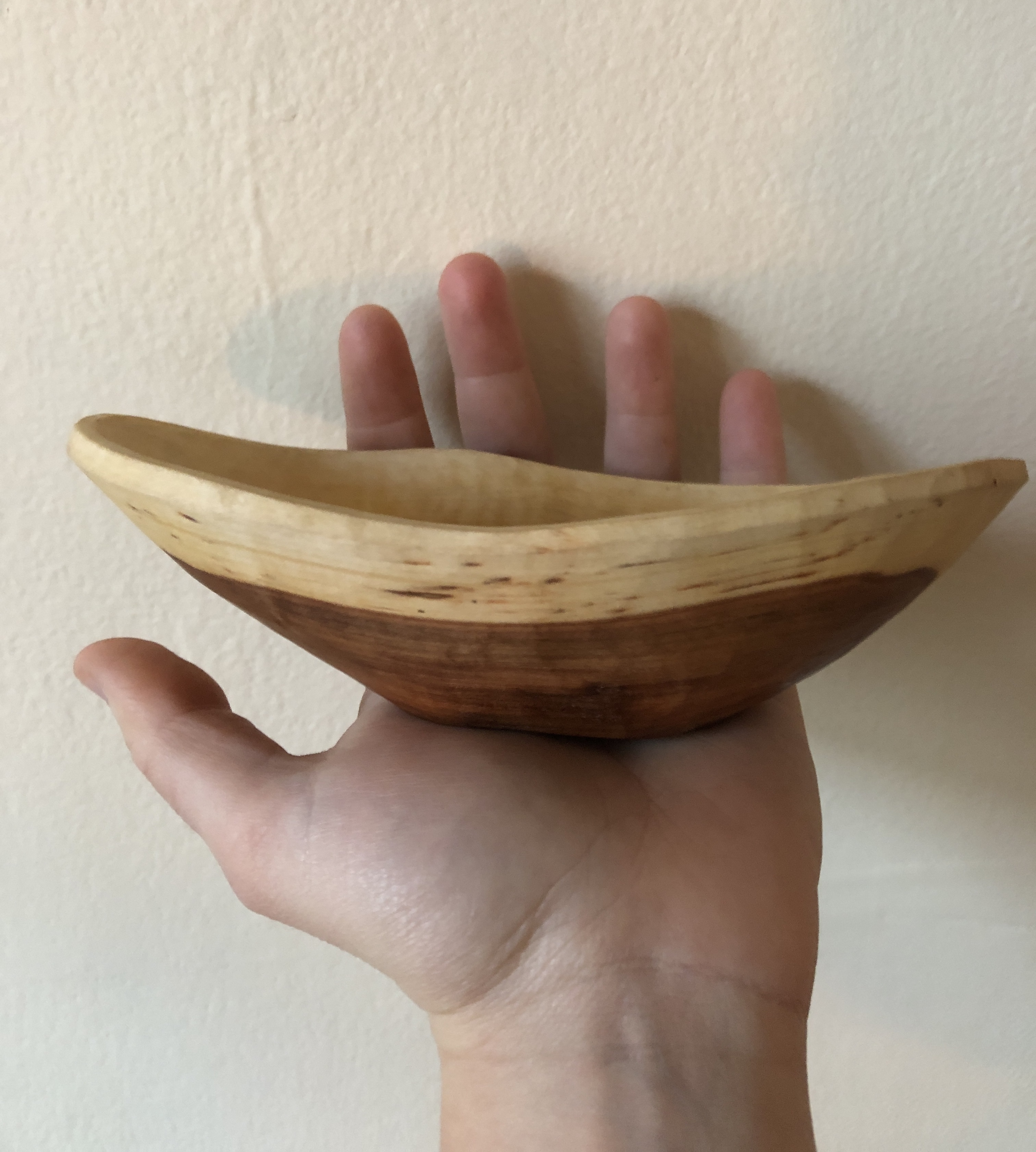 Two tones Applewood heart vessel held in a white palm