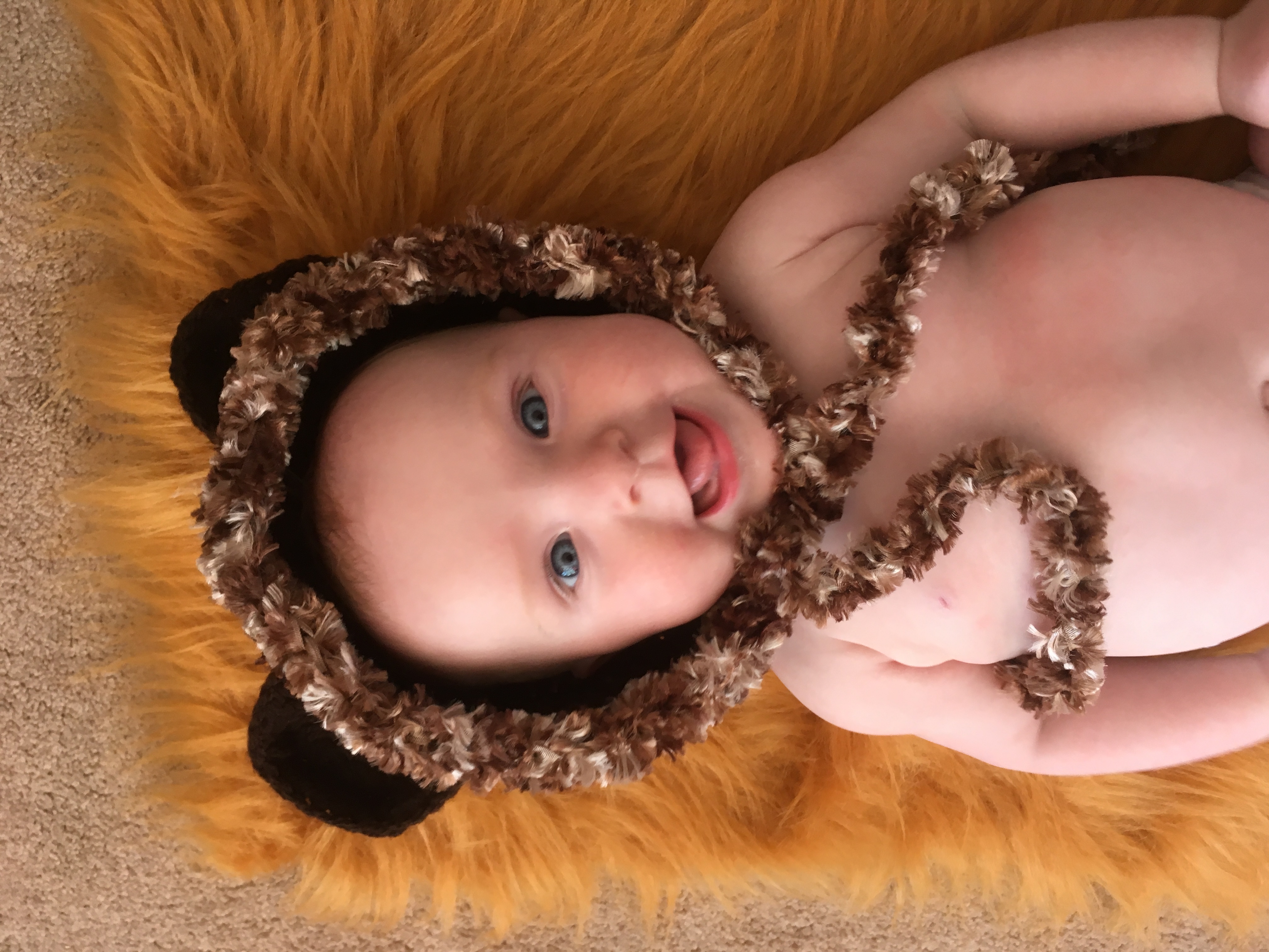 Baby bear hat