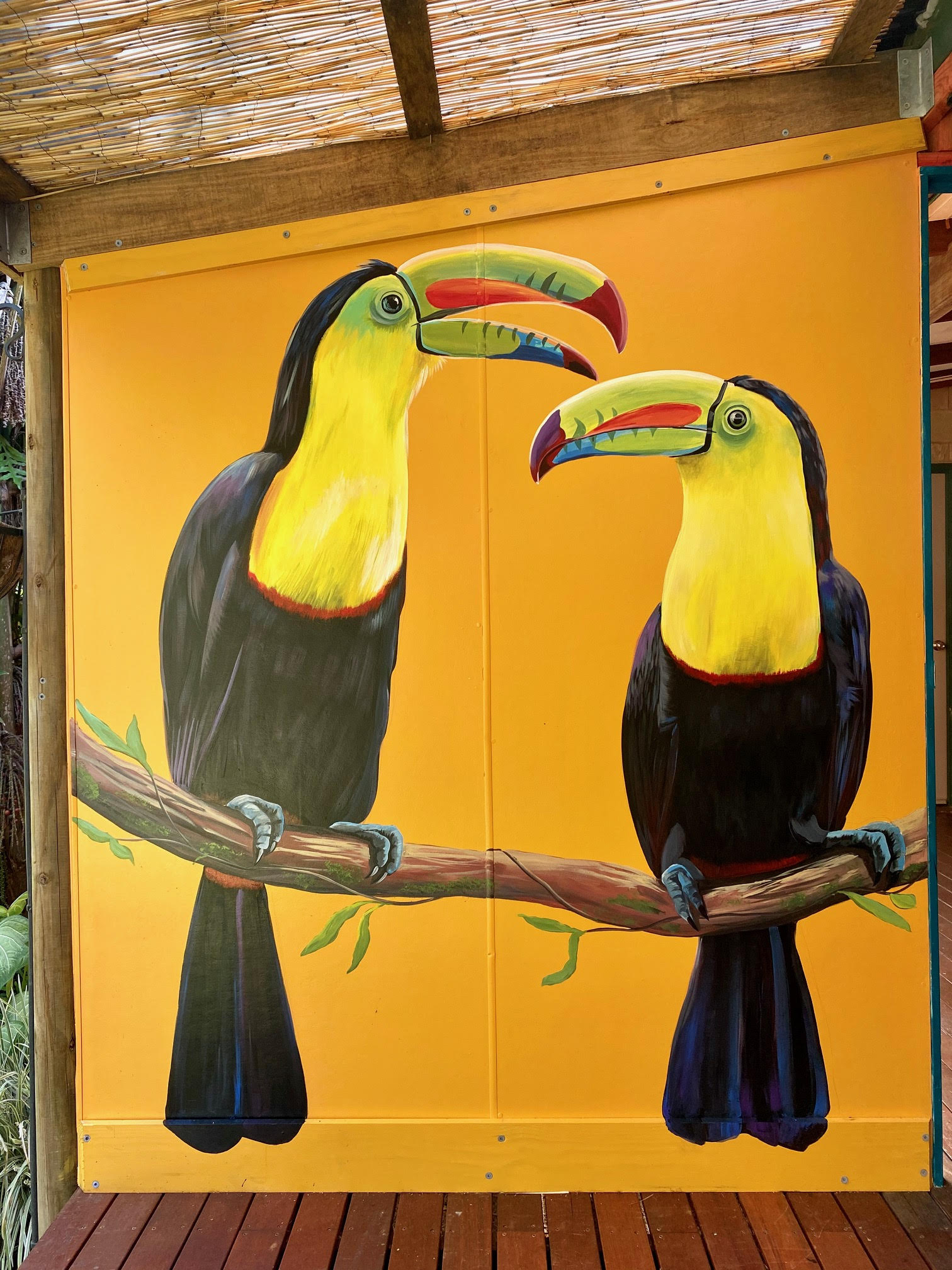 toucan mural by lavinia letheby